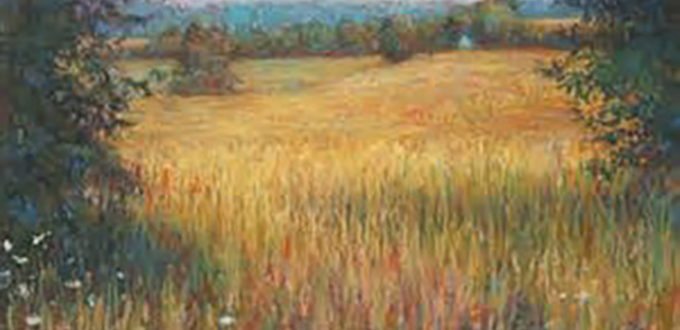 Field of Ripening Grain